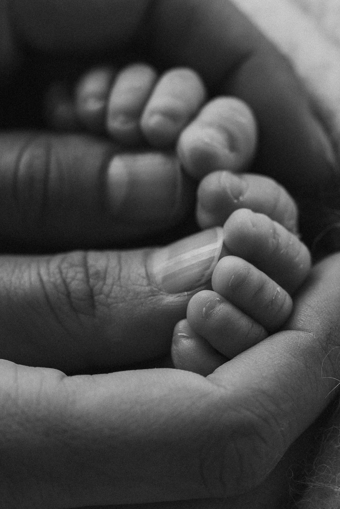 Pasgeboren baby detailshot